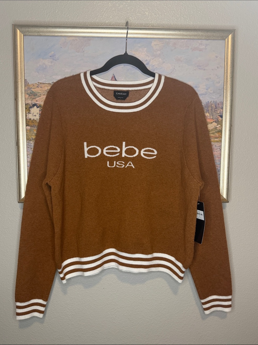 Bebe Brown/Rust Sweater with White Trim xl (bin12)